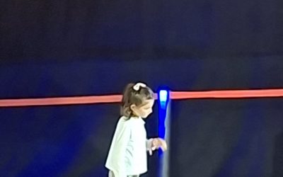 Второ место за Златановска на општинскиот литературен конкурс